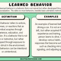 Real-Life Independence Behavior Examples You Should Know