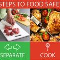 Safe Food Handling for Yorkies