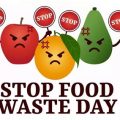 Stop Yorkie Food Waste