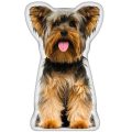 Stuff For Yorkies