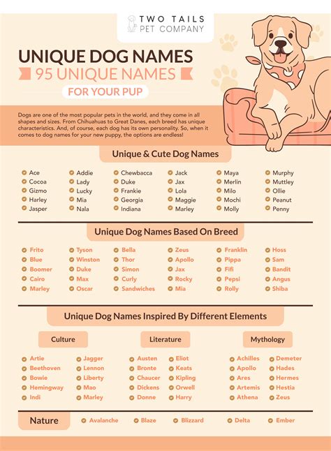 Unique Dog Names Perfect for Yorkies