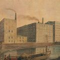 Why Were Yorkies Used in Textile Mills?