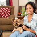 Why Yorkshire Terriers Are Perfect for Apartments