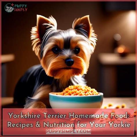 Working Yorkie Nutrition