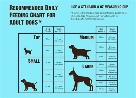 Yorkie BARF Diet Guide