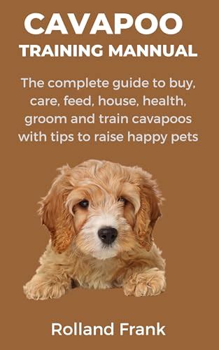 Yorkie Cavapoo Mix Care And Training Tips