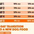 Yorkie Food Transition Guide