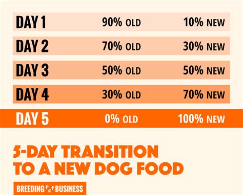 Yorkie Food Transition Guide