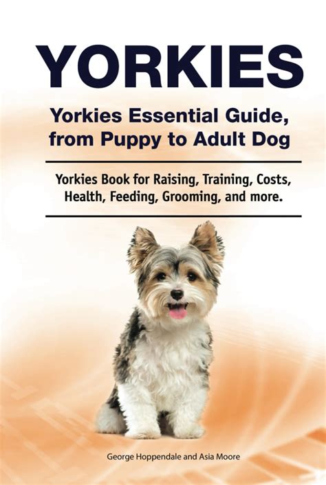 Yorkie Grooming: Essential Guide