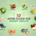 Yorkie Kidney Diet Guide