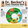 Yorkie Liver Diet Tips