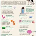 Yorkie Medication Guide