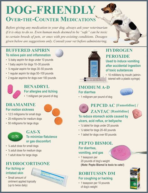 Yorkie Medication Guide