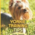 Yorkie Puppy Training: Essential Commands