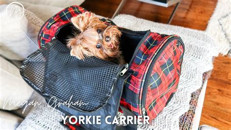 Yorkie Supplies