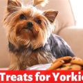 Yorkie Treats