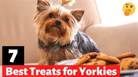 Yorkie Treats