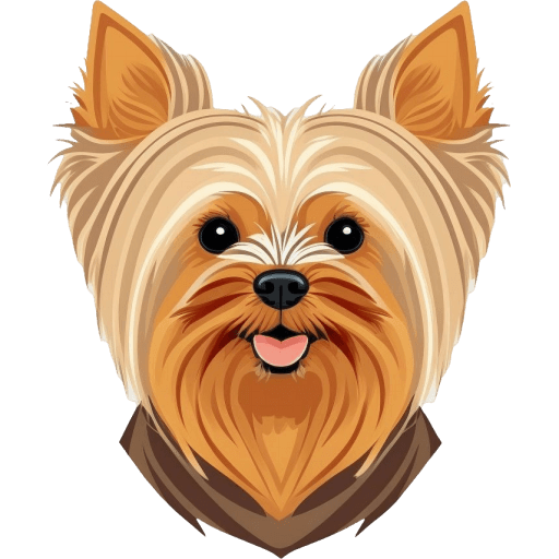 The Yorkie World