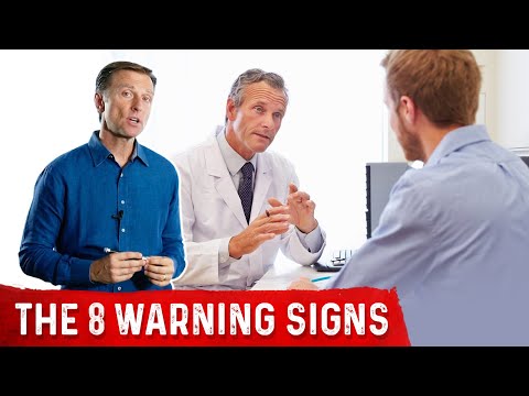 8 Warning Signs Of Disease In Yorkie Terriers