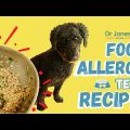 Yorkie Food Allergy Guide