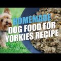 Homemade Yorkshire Terrier Diet: Is It Worth It?