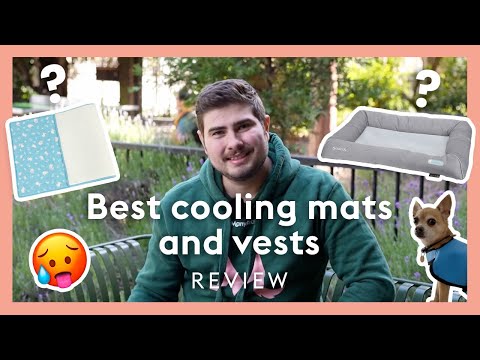 Best Cooling Mats and Vests for Yorkshire Terriers