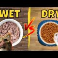 Choosing the Best Wet or Dry Food for Yorkshire Terriers