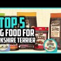 Best Food Options for Yorkshire Terrier Puppies