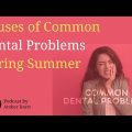 Summer Dental Issues in Yorkie Terriers