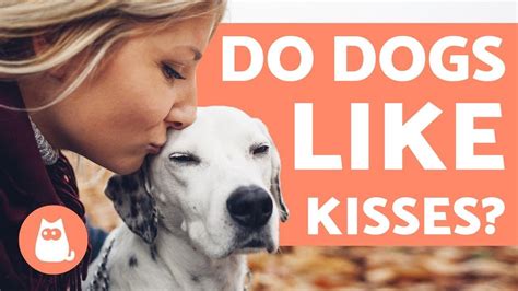 Do Dogs Enjoy Kisses?