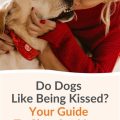 Do Dogs Like Being Kissed? – Do Dogs Enjoy Kisses