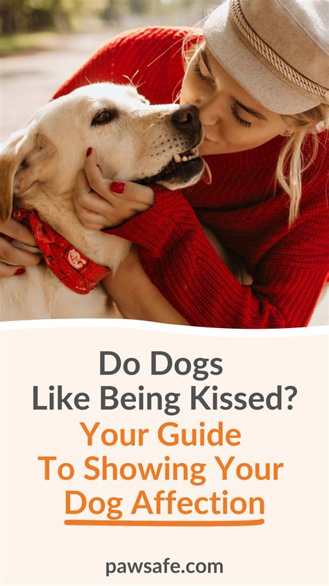 Do Dogs Like Being Kissed? – Do Dogs Enjoy Kisses