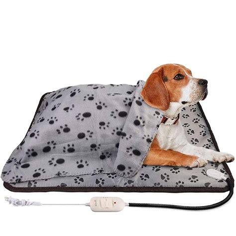 Dog Loves Heated Blanket: A Cozy Guide For Pets