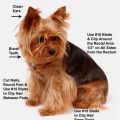 How to groom Yorkie’s paws