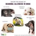 How to help Yorkie with seasonal allergies