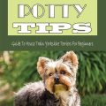 Training A Yorkie Puppy – Tips For Beginners