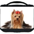 What are best Yorkie travel accessories