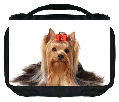 What are best Yorkie travel accessories