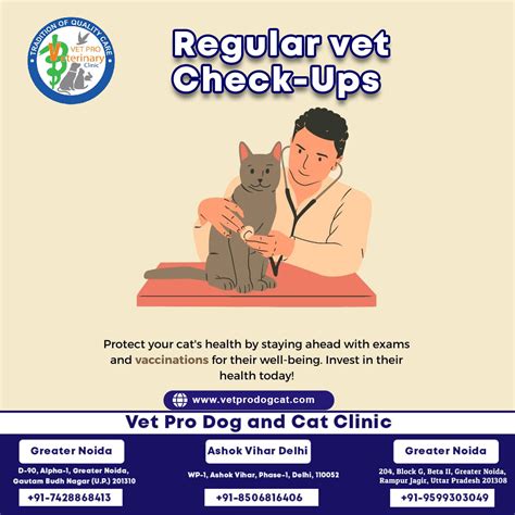 What are the benefits of regular vet check-ups