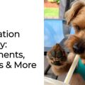 What causes Yorkie anxiety