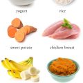 What foods upset Yorkie’s stomach