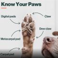 What is Yorkie paw pad care