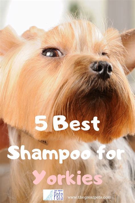 Which dog shampoo is best for Yorkies