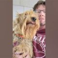 Why is my Yorkie afraid of vet visits