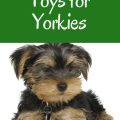 Yorkie Toys And Best Options For Small Breeds