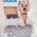 how to bathe a yorkie: Step-by-Step Yorkie Bath Guide